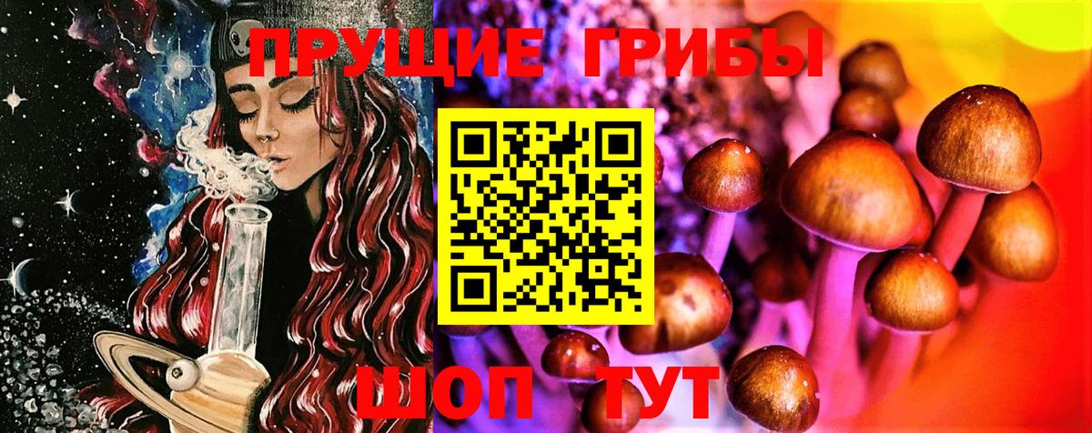 Зеленодольск  Галлюциногенные грибы MAGIC MUSHROOMS  Галлюциногенные грибы прущие грибы  Вход с VPN 